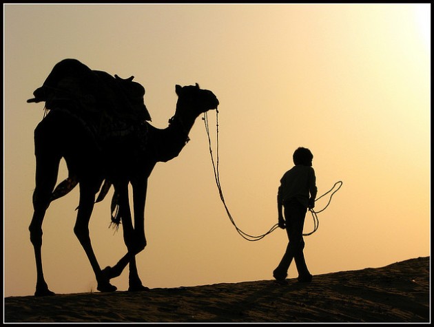A traveler with his camel walking in the desert.